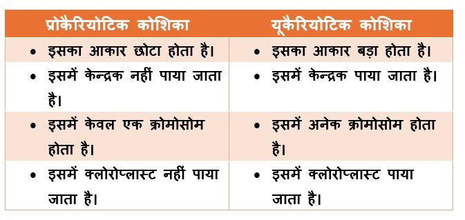 Bihar Board Class 9th Science Biology Chapter 1 Notes कोशिका | Koshika ka Objective Question & Notes NCERT